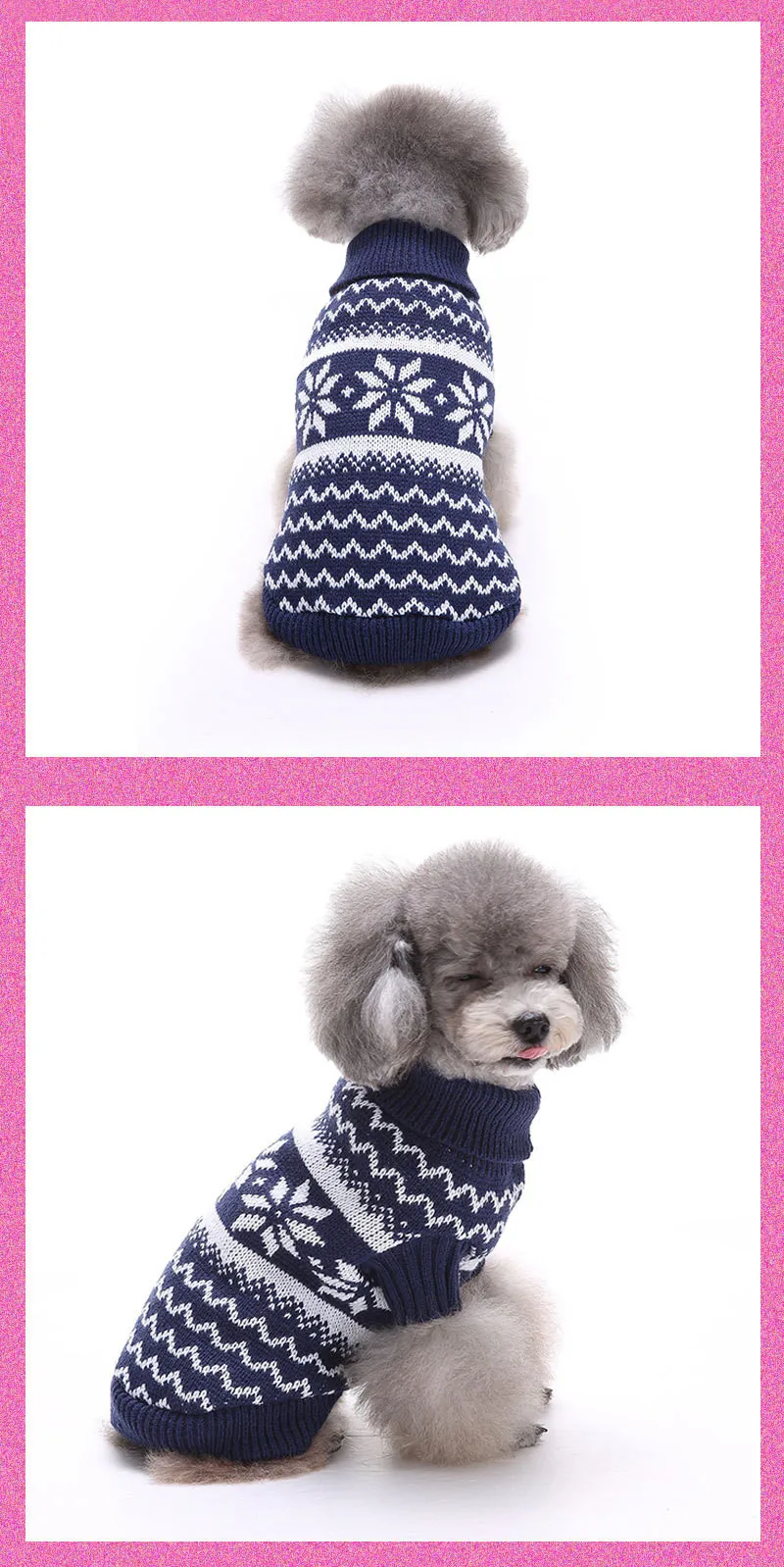 dog clothing25