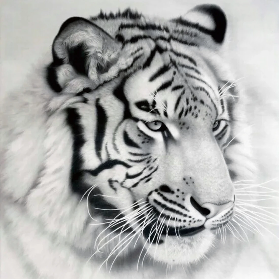 Новинка! 5D Алмазная вышивка лев тигр, картина из бисера, вышитая бисером комплект вышивки узоры из страз искусства - Цвет: k025 30x30cm