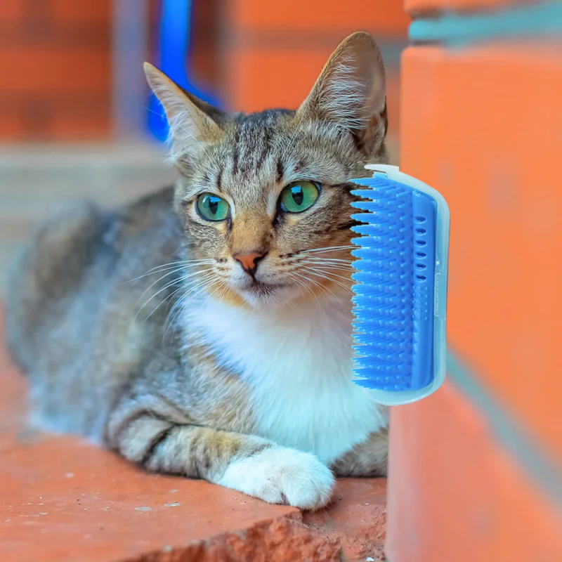 

Corner Pet Hair Removal Brush Comb Play Cats Novelty Toy Bristles Arch Self-Groomer Toys for Cats Plastic with Catnip Tickle