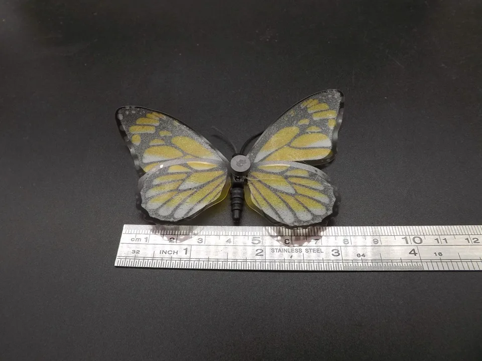 I271-Butterfly (11)