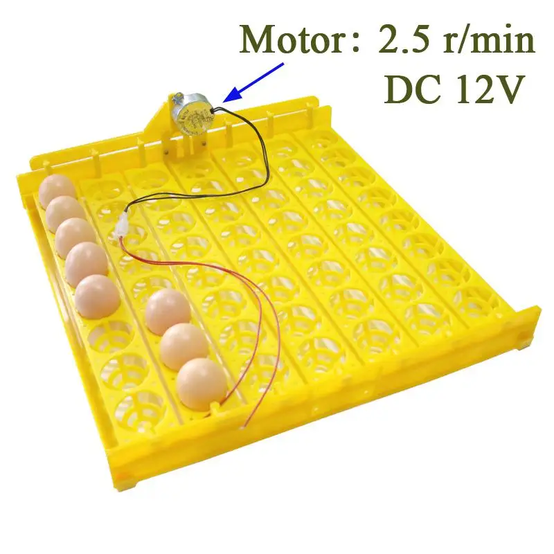 DC 12V