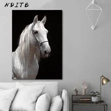 Зебра Лошадь Животное декоративное изображение черный белый плакат скандинавские стены Искусство холст печать простой современный дом ук...(China)