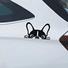 Exterior Accessories