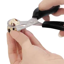 Голубь перепелиные яйца ножницы яйцо Cut яйцо яичная скорлупа открывалка яйцо нож KF238