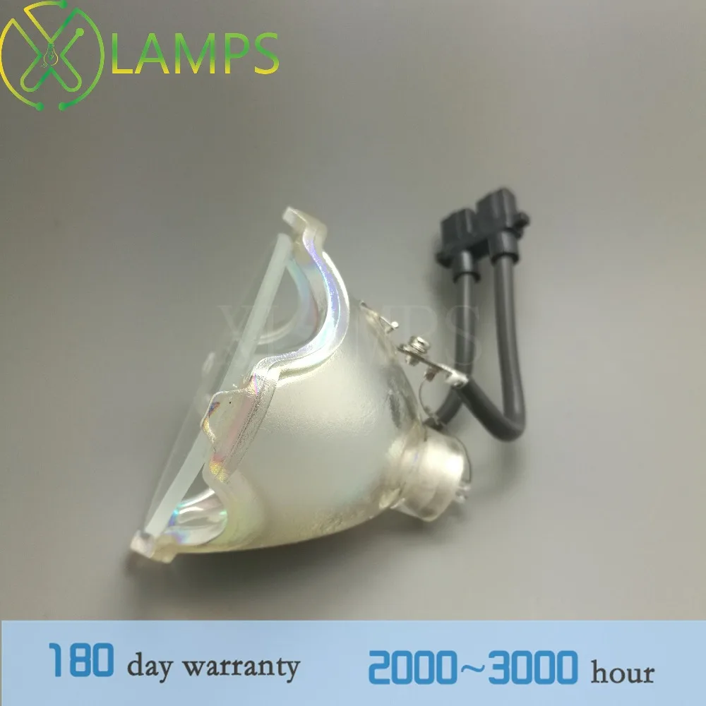 LMP-H2023