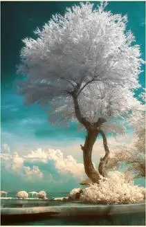 

Diamond embroidery Scenery cloud DIY diamond painting white trees Rhinestone needlework crystal cross stitch Home