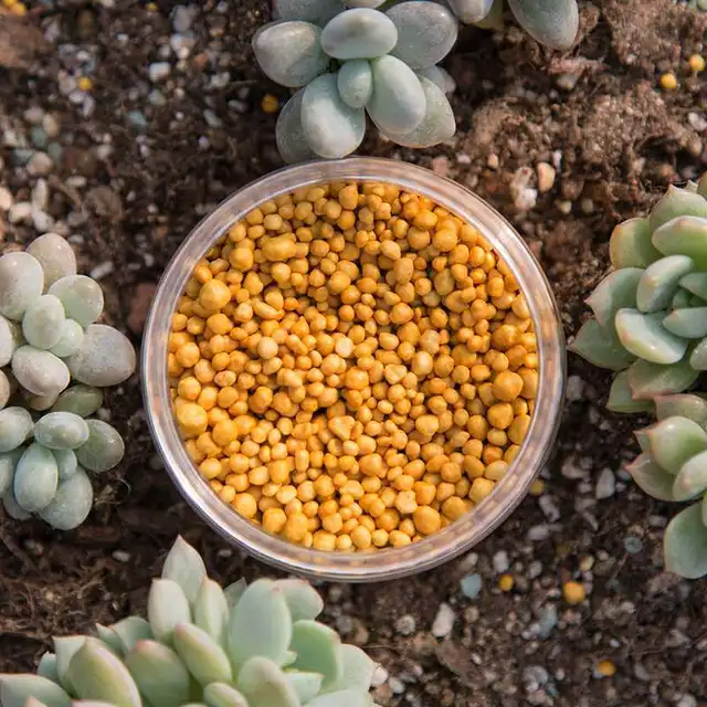 Slow release Orchid Granular NPK Fertilizer Succulent