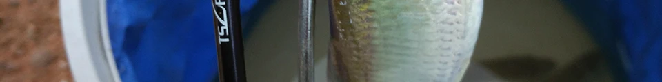 --_113