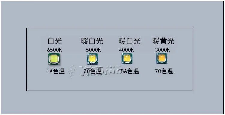 XML_09