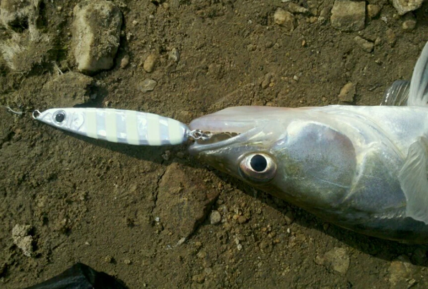 

free shipping trulinoya 20g 30g 7pcs/lot lead jig lure jig fishing lures artificial metal lures boat fishing lures