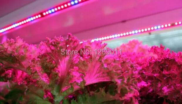 Plant Growth Application-5