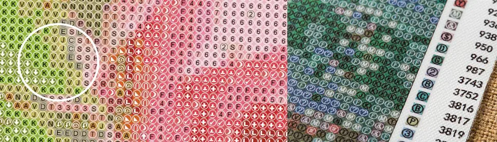 QQ截图20190524113849-1