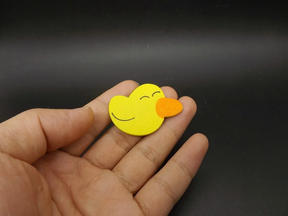 I407-Duck (4)