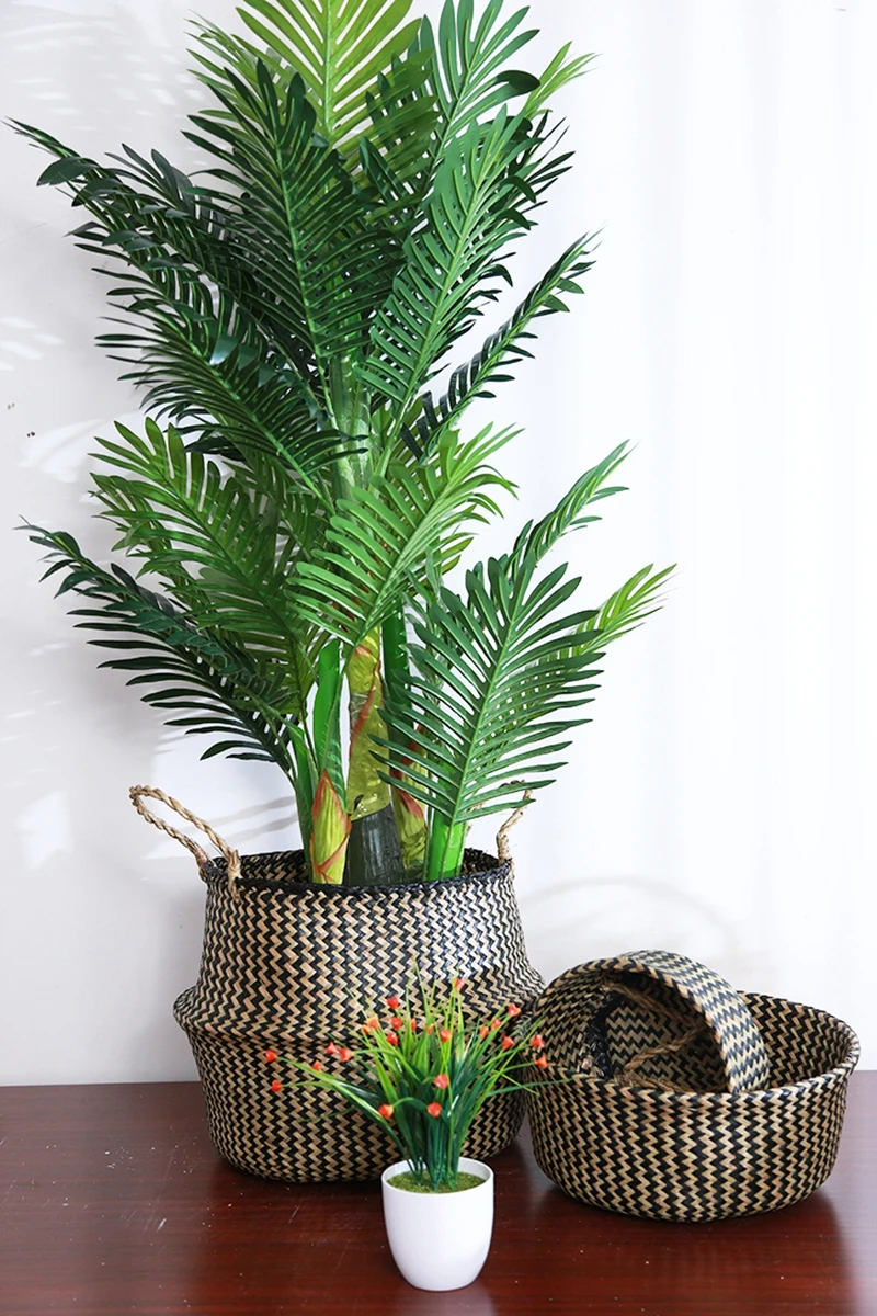 HTB1YP2qbED.BuNjt_ioq6AKEFXaF