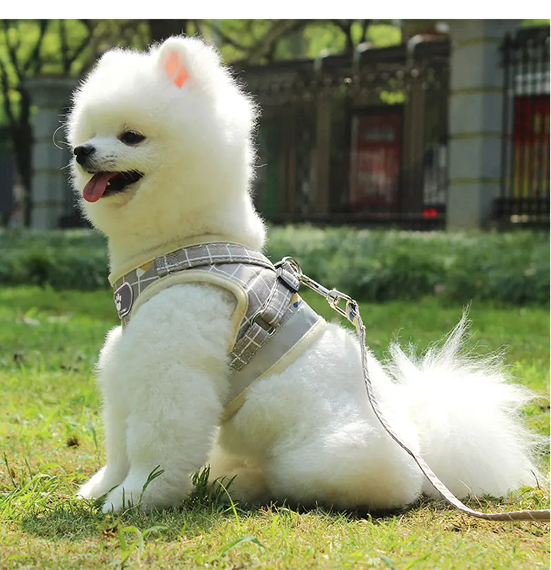 Reflective Dog Harness And Leash Set Nylon Mesh Kitten Puppy Dogs Vest Harness Leads Pet Clothes For Small Dogs