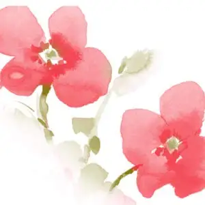 WATER COLOR D_