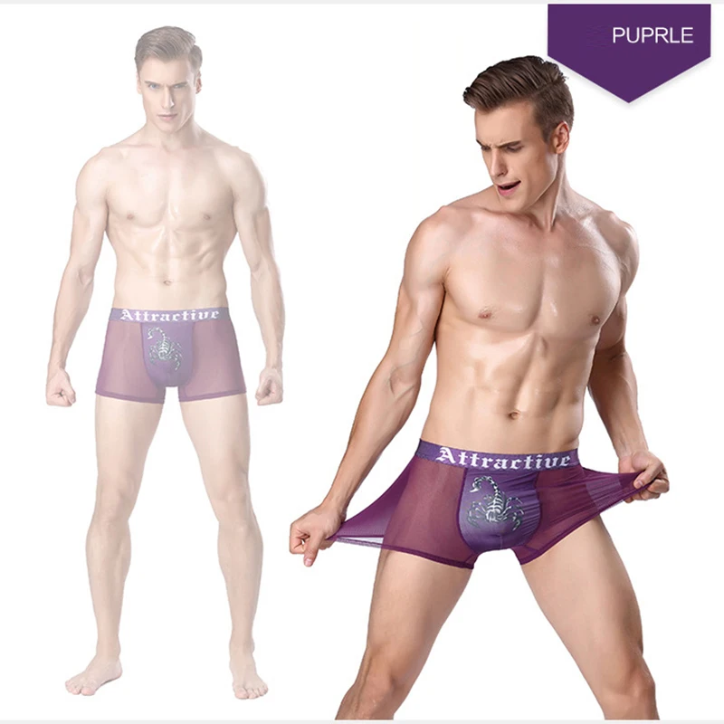 Sexy Transparent Boxer Men Patterned Boxer Hombre Calecon Underpants Male Boxer Shorts Ethika Men Health Underwear Boxer WS07