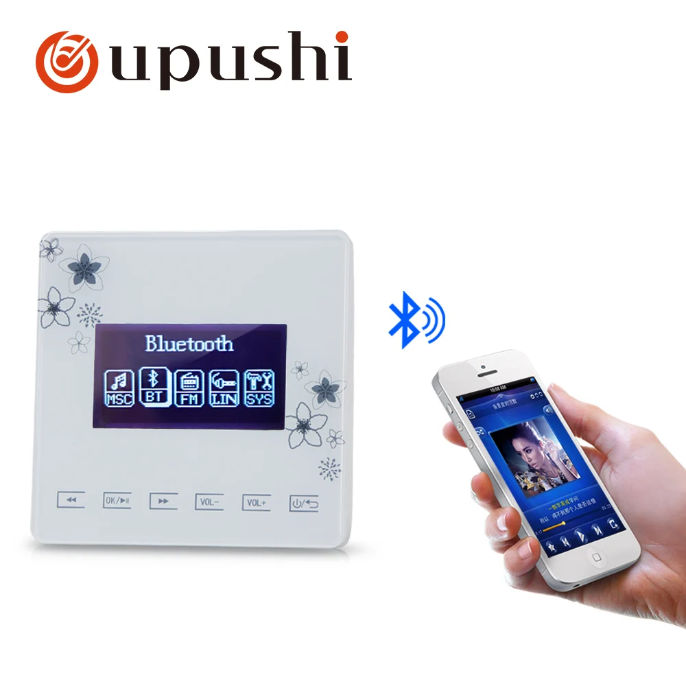 Oupushi A0+CE510 in wall amplifier 6 inch ceiling