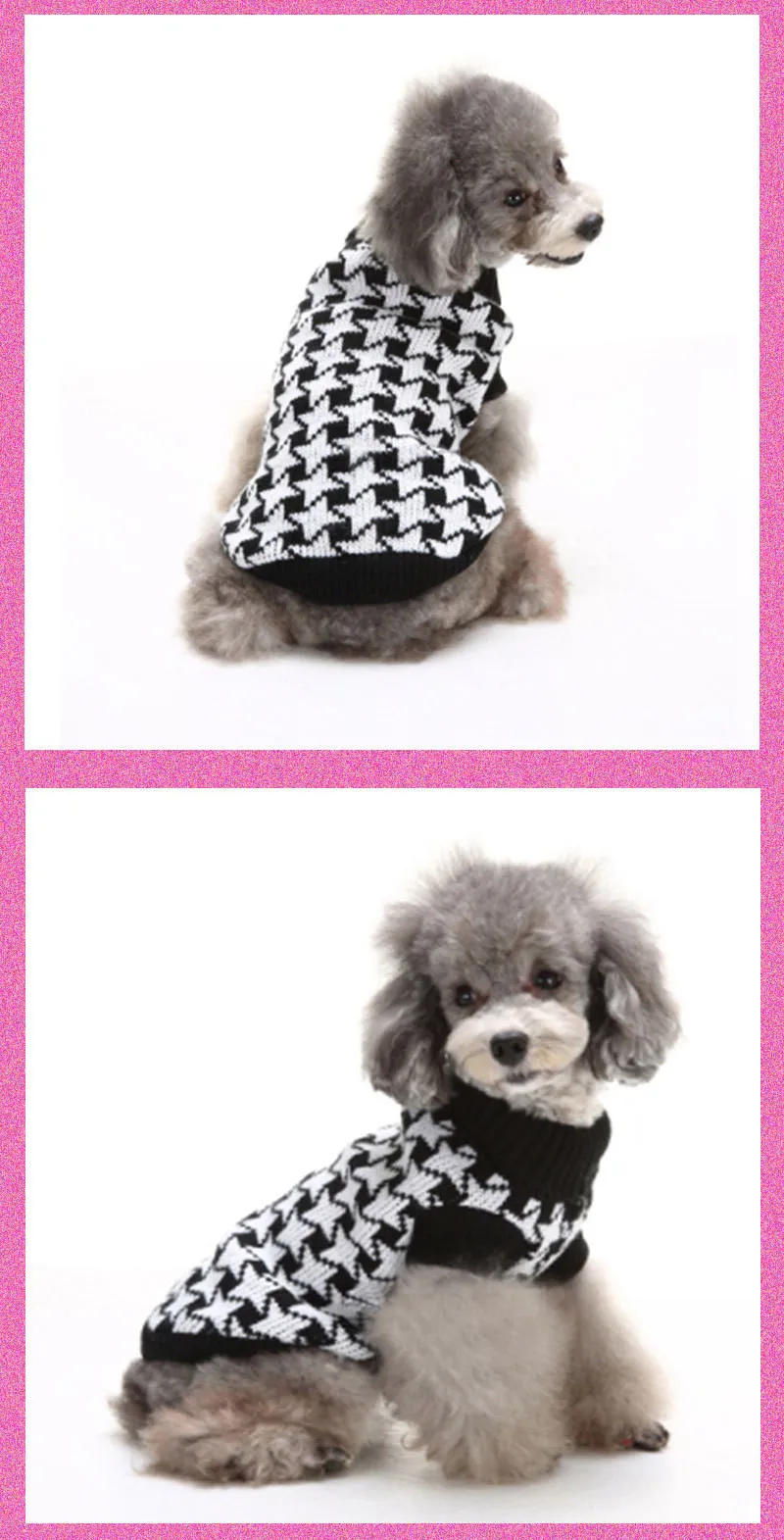 dog clothing13