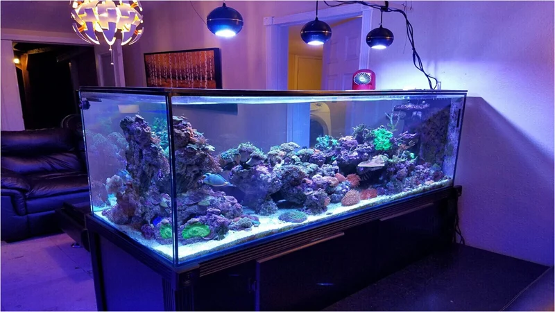 led reef aquarium lighting