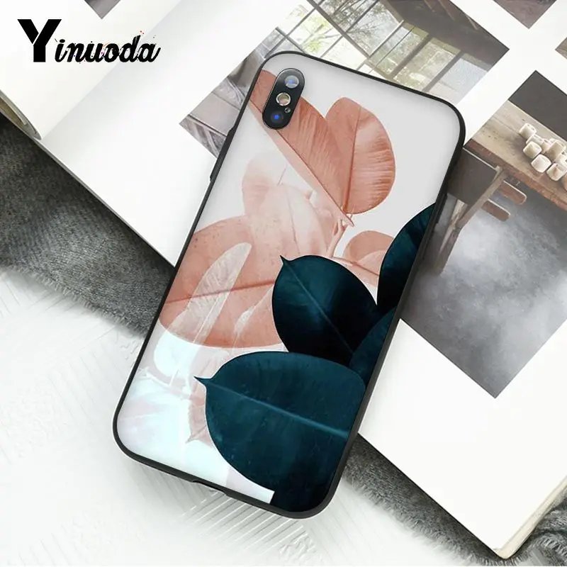 Summer Palm Leaf Banana Leaf Flowers Plants