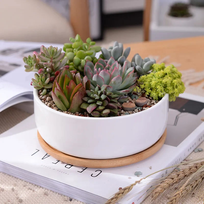 1 Set Minimalist White Ceramic Succulent Plant Pot Porcelain Deep Rounded Pot font b Desktop b