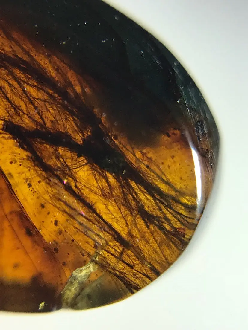 

Rare dinosaurs hair feather Myanmar Burma natural Amber insect 100 million years lynx stone dinosaurs age Cretaceous