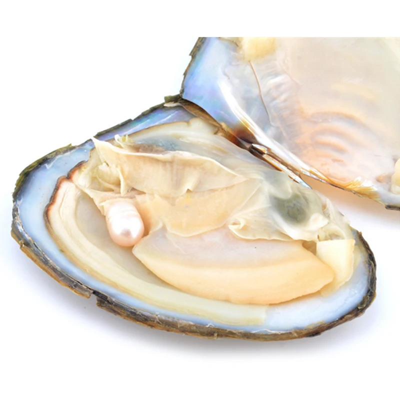 Oyster 100