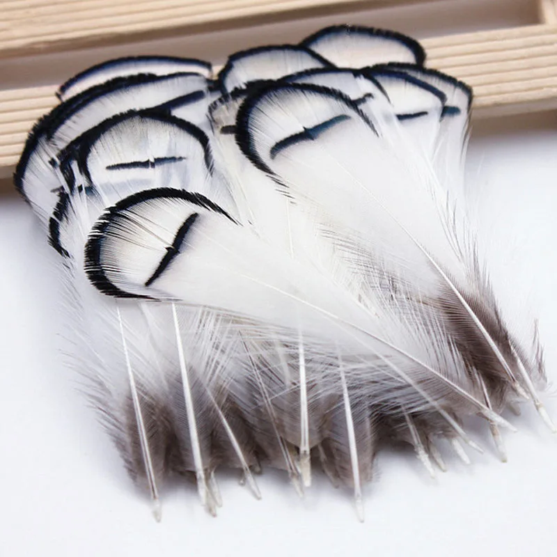 

hot! 20 / 50 pcs 4-9cm Pheasant Tail Chicken Cock Rooster Feather Clothing jewelry Headwear DIY Craft Dreamcatcher Decoration