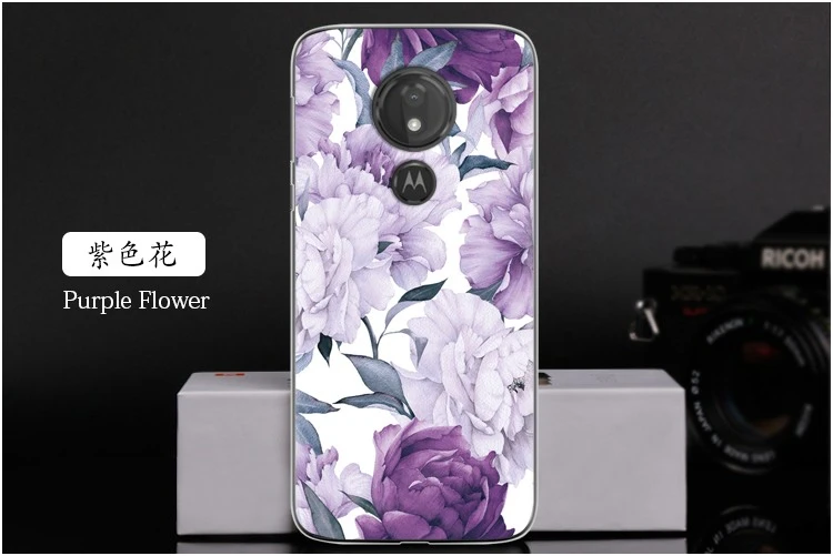  Purple Flower