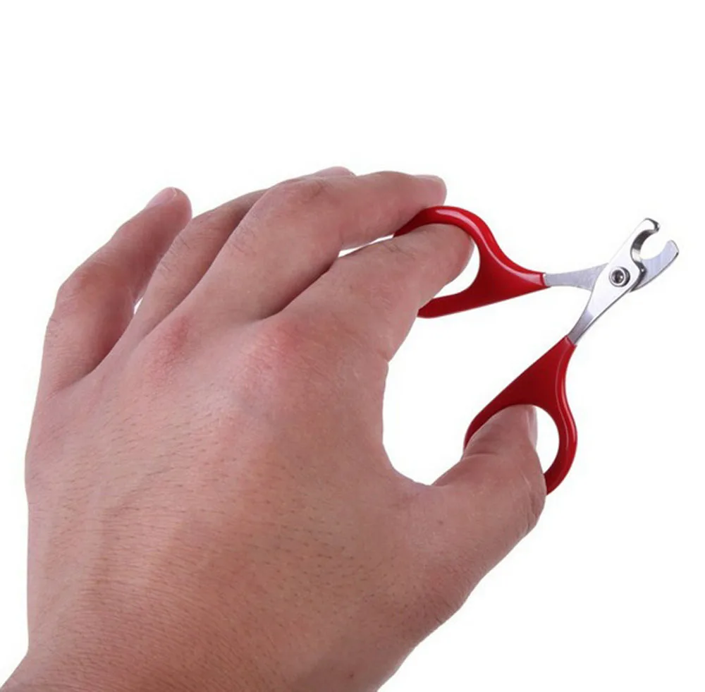 

Pet Product Red Small Dogs With Pet Nail Scissors Cats Use Nail Clippers 8 cm