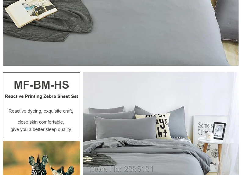 MF-BM-HS_02