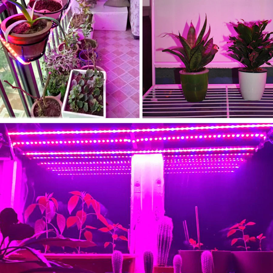 Полный спектр Led Grow Light красный + синий Крытый сад гидропоники Светодиодные полосы