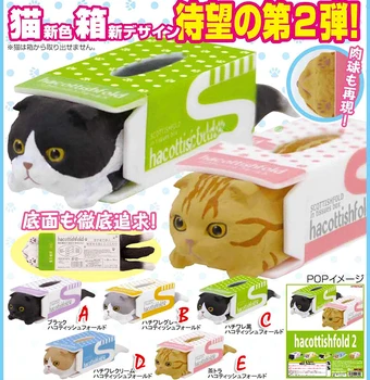 

Japanese Original Capsule toys 5 sets cute pet Scottish Fold cat in tissues box Hcottish Fold P2 big gashapon desktop figures