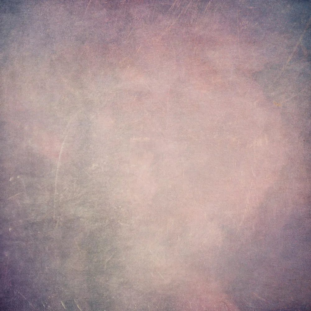 

10x10ft Vinyl Custom  Photography Backdrops Prop Vintage Photography Background JVT-169