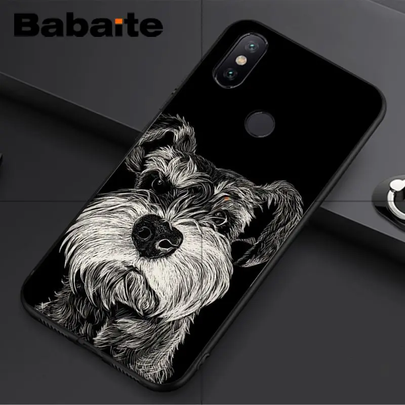 Miniature schnauzer puppy dog