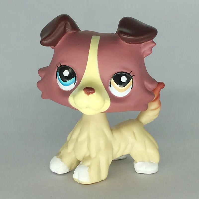 Lps Pet Collection Figure LPS 893 Collie Dog Brown Caramel Mocha Blue