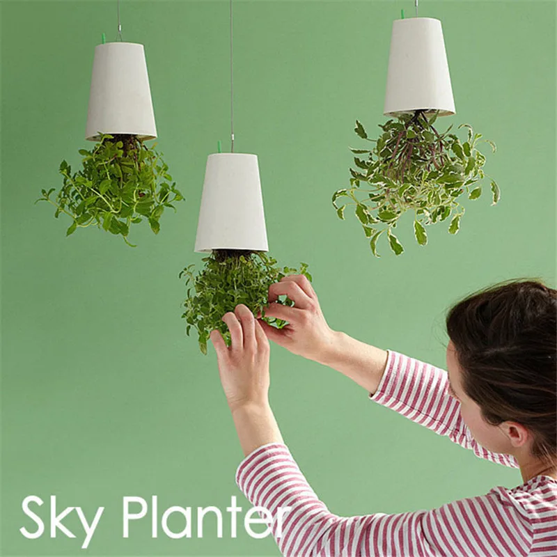 Decorative Indoor Flower Pots Shapeyourminds Decorative Small Hanging Plant Pot Plastic Font B Upside Sky Planter Down Mega 24
