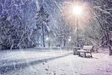 SHENGYONGBAO Vinyl Custom Photography Backdrops Prop Winter Snow theme Photo Studio Background F19428-12 winter trees white snow world background photograph photo studio photography backdrops vinyl