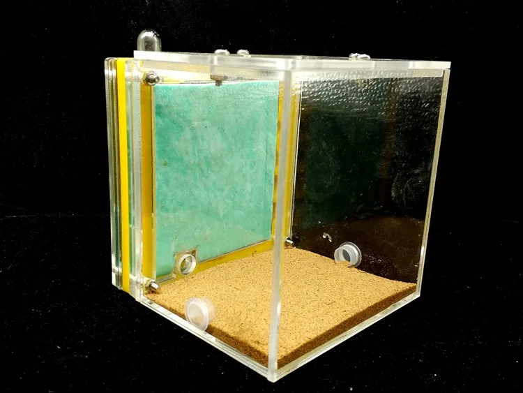 ant-home (1)