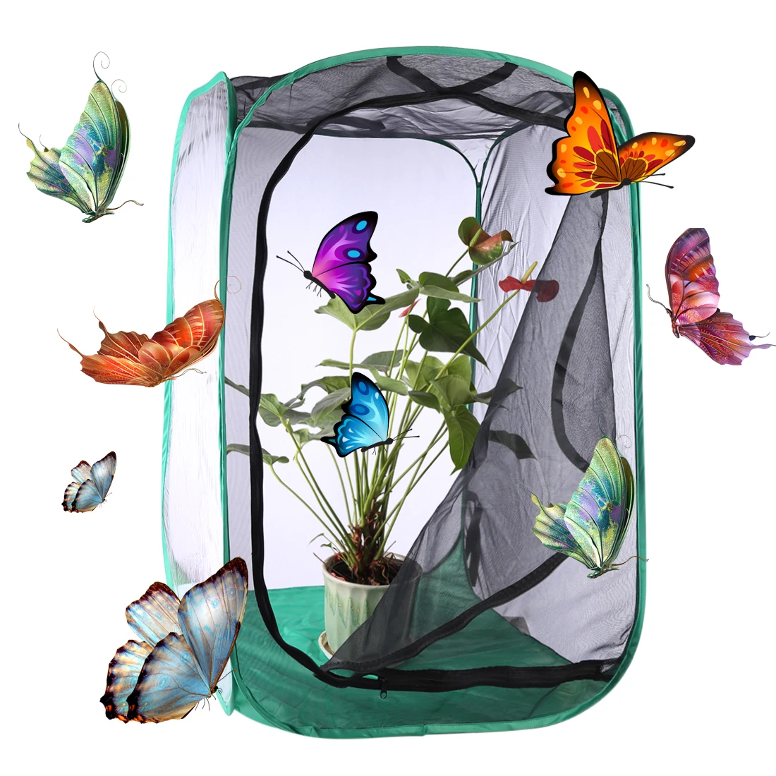 

Outdoor Neture Playing Sport Butterfly and Insect Habitat Cage Mesh Terrarium Pop-up Toys for Kids - Size L