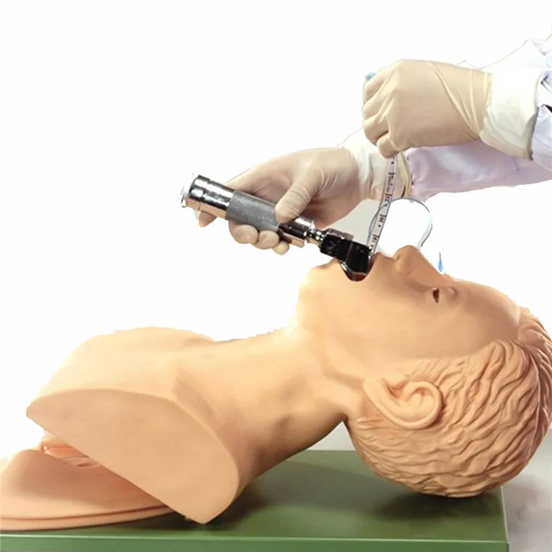 220V Intubation Manikin Учебная модель ПВХ Airway управление тренером медицинская школа студенческий образовательный обучающий источник