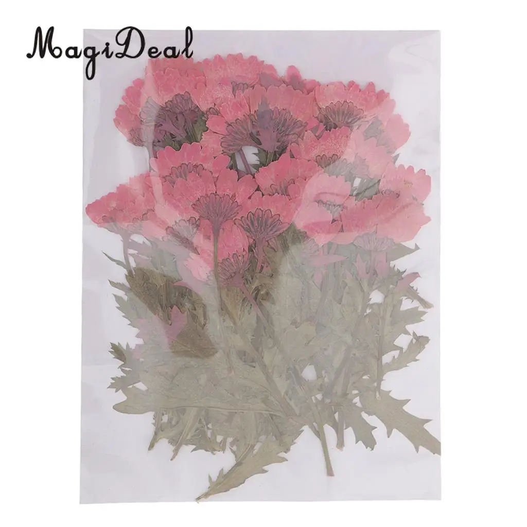 MagiDeal 50pcs Beautiful Pressed Rose Flower Dried Flowers for Art Craft Scrapbooking Card Making House Decoration