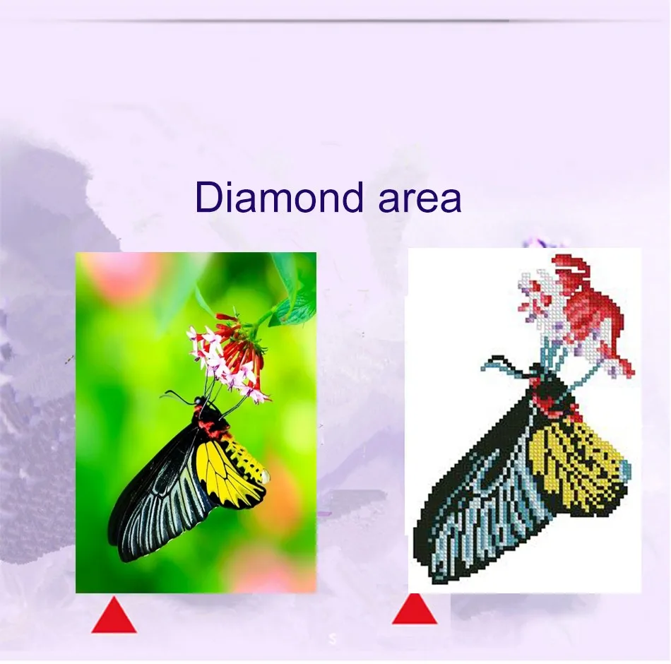 55554_721844345