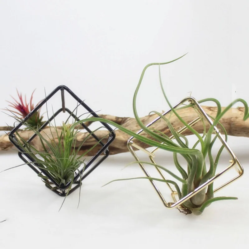 Iron Flower Shelf Iron art small square geometry air pineapple flower