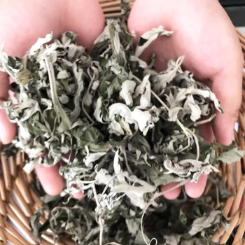 

Ai Ye Mugwort Leaf, Folium Artemisiae Argyi Wormwood Leaf Chinese Herbs Artemisia argyi Levl. et Vant. Plant for foot bath