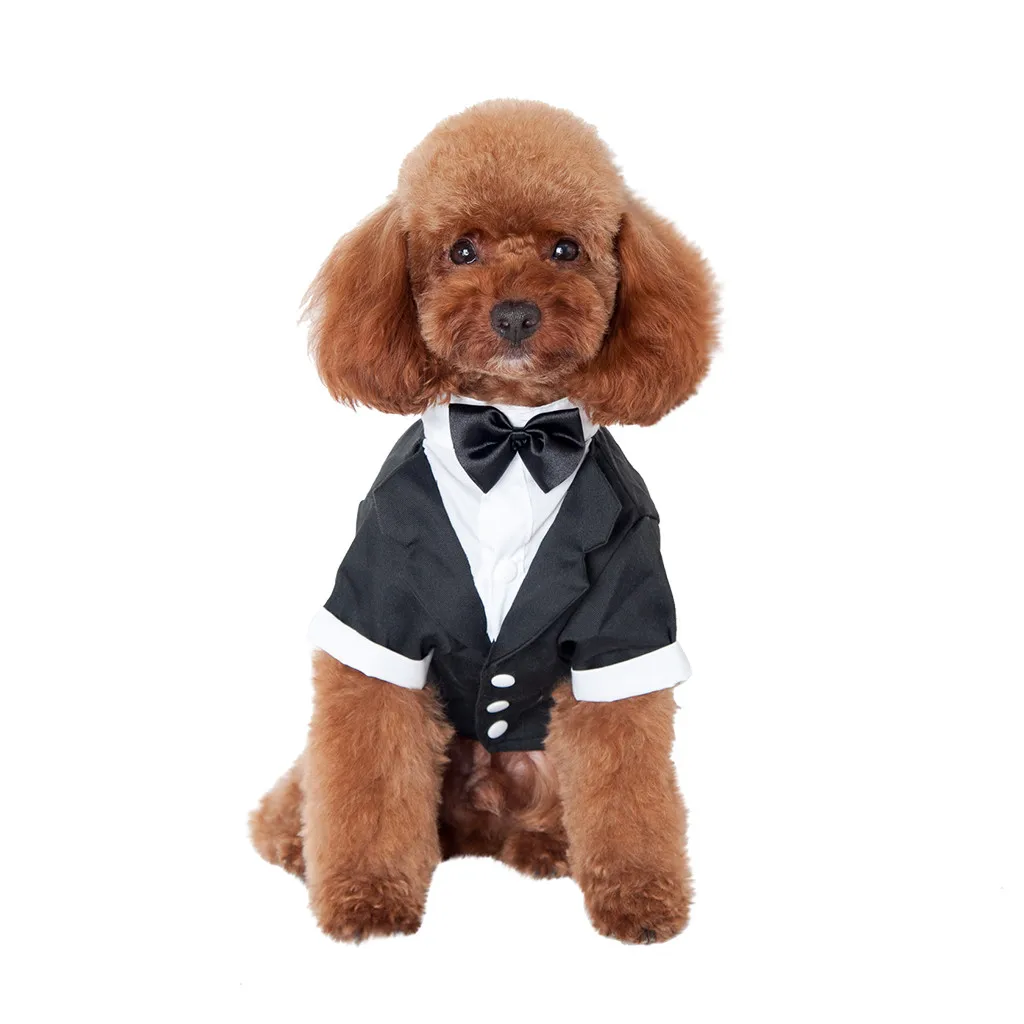 

Brand New And High Quality Pet Costume Comfortable Cotton Lovely Gentleman Suit Wedding Party Pet Apparel Perfect For Small Dogs