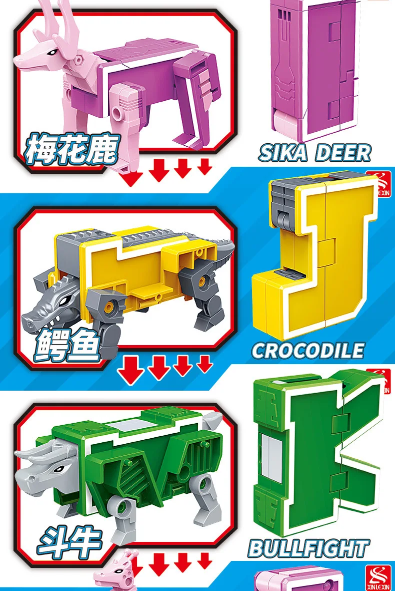 RC0145 (6)