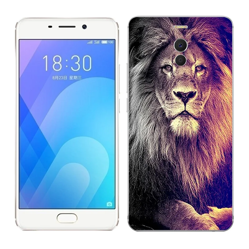 For Meizu X8 16X Case Soft TPU Capas Fashion Painted Back Cover on For Meizu M2 M3 M5 M6 Note Phone Cases Silicone Bumper Fundas - Цвет: 04