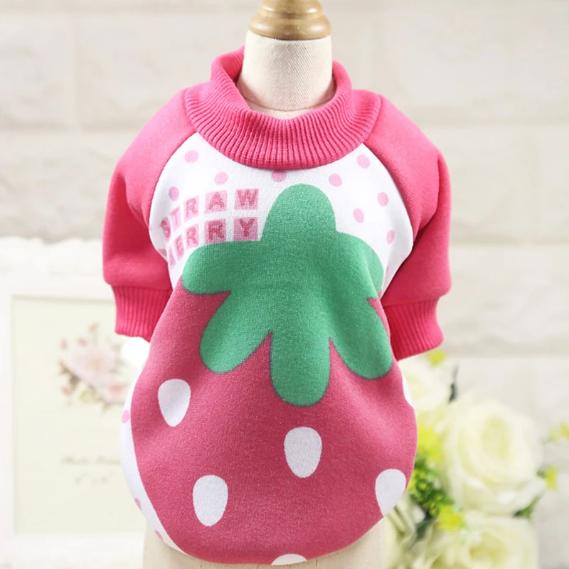 4385938352_799069744